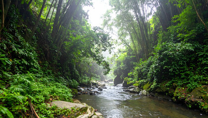 Obraz premium Lush Green Tropical Rainforest River Landscape