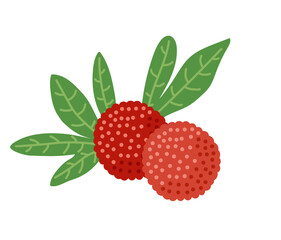 Chinese strawberry, red bayberry, yumberry, waxberry. Tropical exotic berries. Vector hand-drawn illustration, isolated on white background.