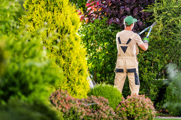 Professional Gardener Trimming Bushes in Vibrant Home Garden During Sunny Afternoon