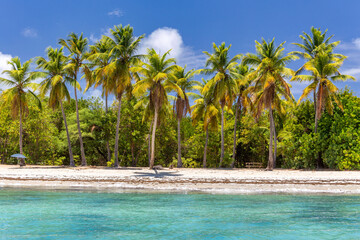 Salines Beach in Sainte-Anne, Martinique, France. Salines Beach is a popular tourist destination along Coastal State Forest.