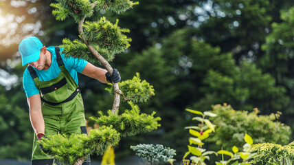Skilled Gardener Shaping a Tree in a Lush, Green Landscape During Bright Daylight Hours