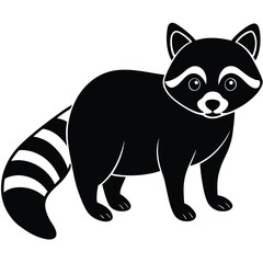 raccoon vector