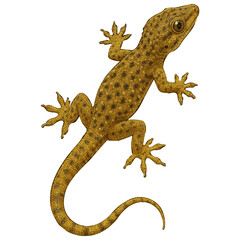 Realistic 4K House Gecko Illustration