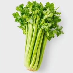 Fresh green celery stalk bunch oisolated on white background