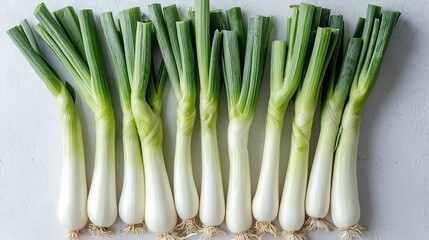 Fresh, vibrant green onions arranged neatly