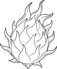dragon fruit vector outline icon on white or transparent background