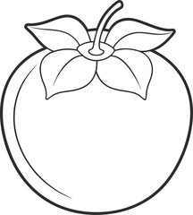 persimmon vector outline icon on white or transparent background