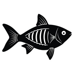 x ray tetra vector fish