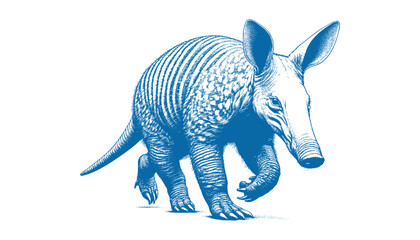 Obraz premium Aardvark vector