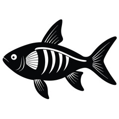 x ray tetra vector fish