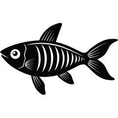 x ray tetra vector fish