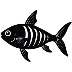 x ray tetra vector fish