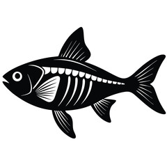 x ray tetra vector fish