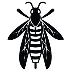 yellow jacket vector