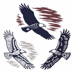 Majestic eagles in flight, professional cutout images