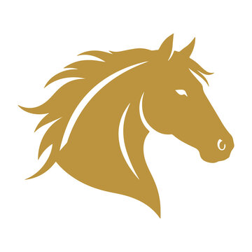 horse head vector