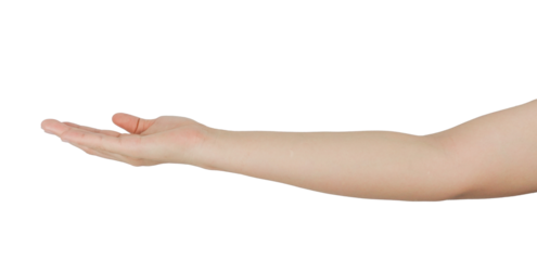 A human hand holding an open palm, with a transparent background.
