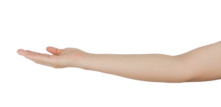 A human hand holding an open palm, with a transparent background.