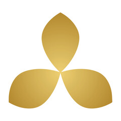 gold coins isolated on white background