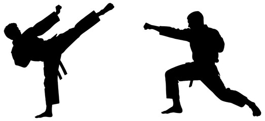 Silhouette of two men practicing martial arts, isolated 