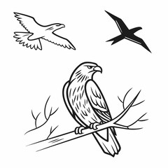 Majestic eagles soaring high in the sky