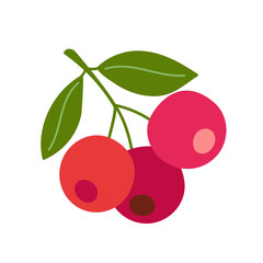 Cranberry berries hand drawn vector illustration