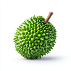 Spiky green durian fruit with brown stem, showcasing its unique texture and shape, is displayed against clean white background, evoking curiosity and intrigue