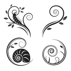 Elegant swirls nautical shell floral design elements