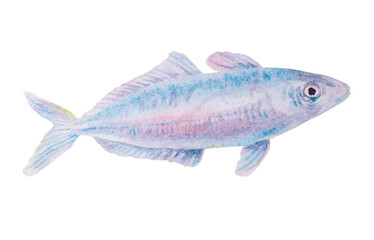 Watercolor illustration of a small blue and pink fish with delicate shading and fine details, suitable for marine-themed designs, children's books, sea life infographics, and educational materials.