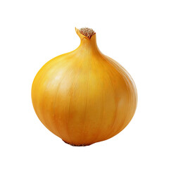 Obraz premium A close-up shot of a single, fresh onion, ready to be used in the kitchen