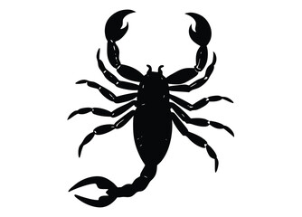 danger scorpion silhouette vector flat icon illustration.