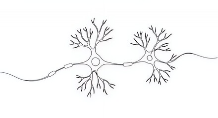 Neuron Connection: A Simple Line Drawing of Two Neurons Communicating