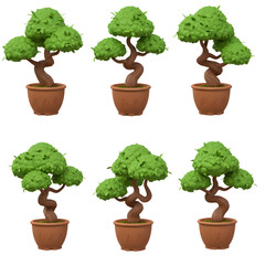 set of bonsai in pots