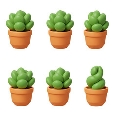 set of succulents plant