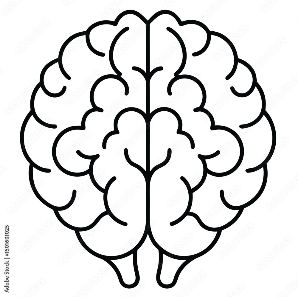 Poster a minimalist linear illustration of a human brain viewed from above, showcasing the two hemispheres.