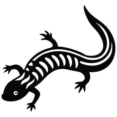 salamander vector