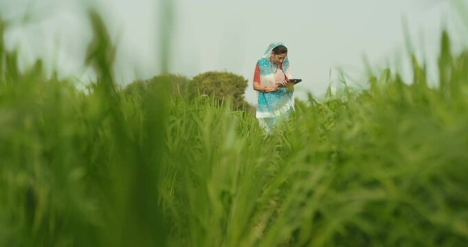 Indian gen x adult farmer woman lady wear saree standing outdoor farmland holding tab device browsing website looking screen Asian smiling female use calculate data yield outside rural area desi life