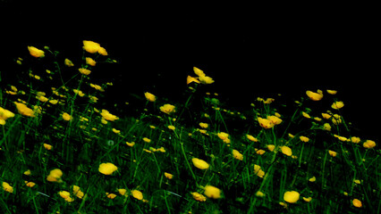 A motion blur abstract buttercup scene artwork against a black background