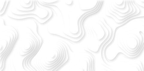 Abstract Luxury diamond creative topography map background vector natural shadow papercut web topography map spiral line. white light dynamic smooth 3d papercut texture background.