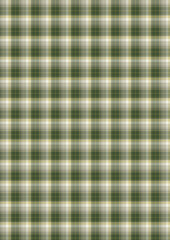 Seamless Green and Beige Plaid Pattern for Textile Design