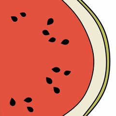 Fototapeta premium watermelon vector illustration