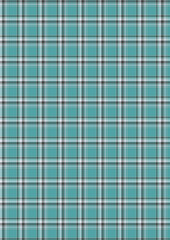 Seafoam Green and Charcoal Plaid Pattern Seamless Texture