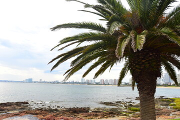 Obraz premium Punta del Este, Uruguay 18-05-2025:: A walk enjoying the views of the harbour at the Punta del Este Puerto in the province of Maldonado. Pile of Small Boats and Yachts on the Sea at the Port. 
