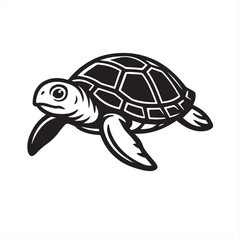 turtle vector illustration