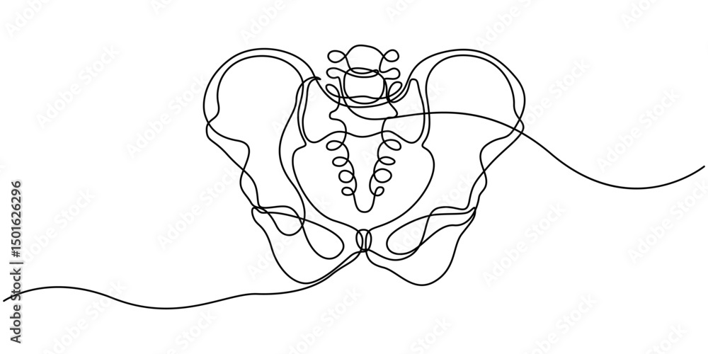 Poster human pelvic bone in continuous one line drawing. anatomical structure. editable vector, part of the