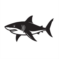 vector illustration of shark