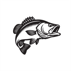 fish isolated on white background