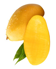 Single ripe yellow mango fruit and half with green leaves and water droplets in stack isolated with...