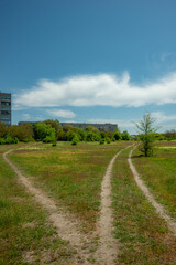 Dirt Path Through Grassy Field Towards Horizon on Sunny Day