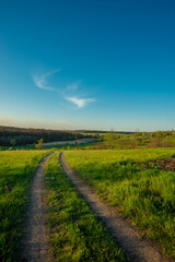 Two Dirt Tracks Through Vibrant Green Field Towards Horizon